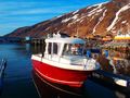Visit Årviksand boat 3 - Merry Fisher, 21ft/100 hp e/g/c/GF